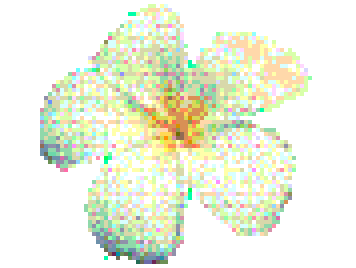 ceremony artifact