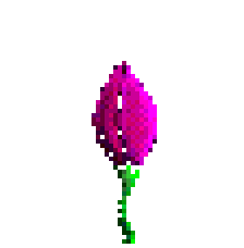 ~