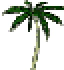 ~