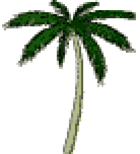 ceremony artifact