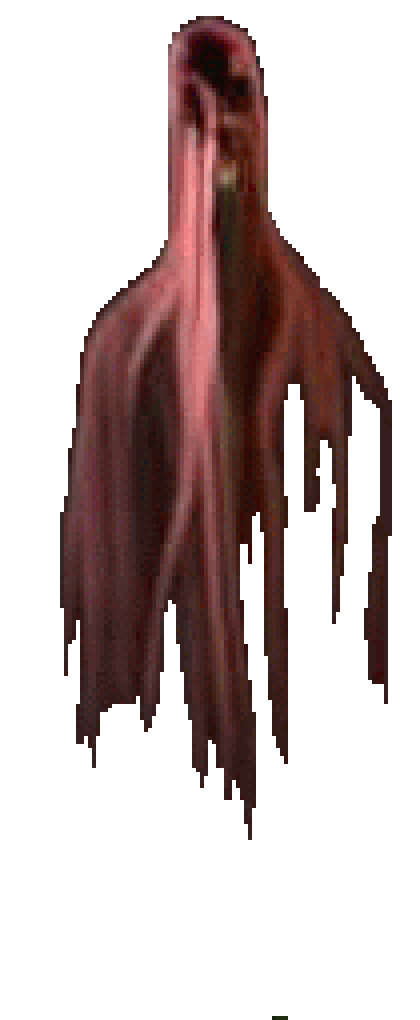 ◊